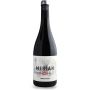 Merian Negre 