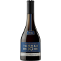 Torres 10 Double Barrel 