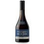 Torres 10 Double Barrel 