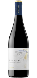 Magnetic Tinto