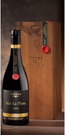 Mas La Plana Col·lecció Privada