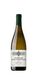 Terroir Sense Fronteres Brisat