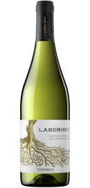 Laberinto Blanco