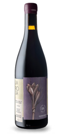 La Rosa de Finca Sandoval