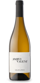 Celler Credo Ambvivalent
