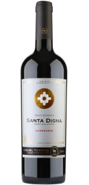 Santa Digna Carmenère