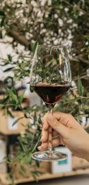 24/04 Tast comparatiu de Vins  Rioja VS Ribera del Duero 