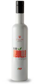 Seville Orange