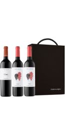 Pack Abadal Franc / Cinc