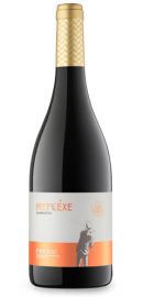 Reflexe