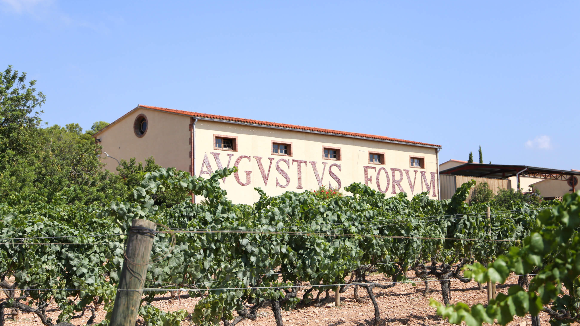 Avgvstvs Forvm