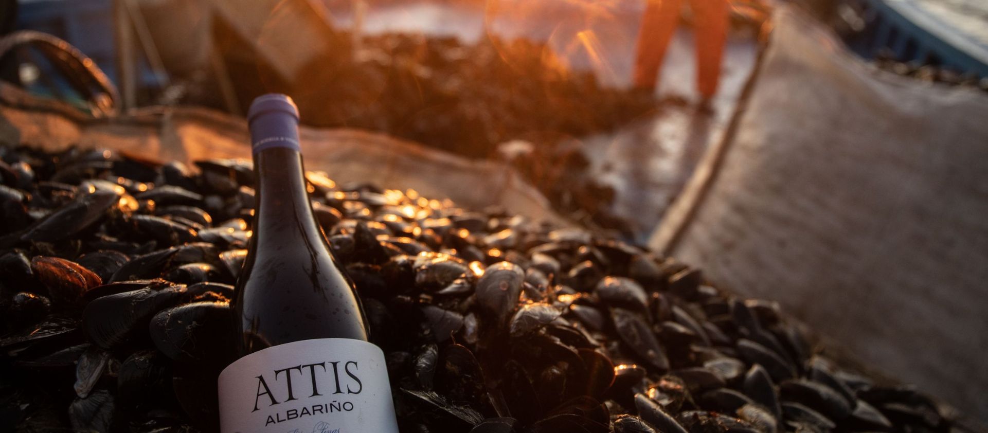 La brisa de l'Atlàntic: descobrint 7 vins emblemàtics