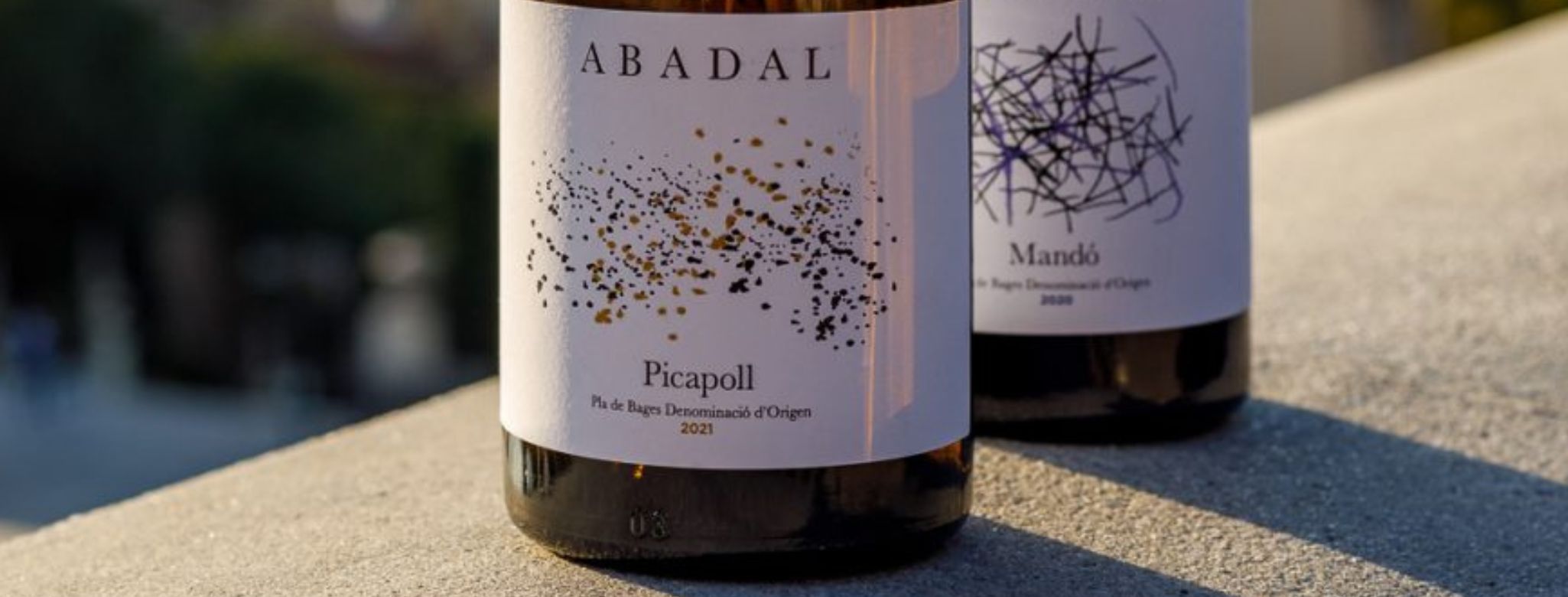 Abadal: vinos que nacen entre viñas, bosque y vida