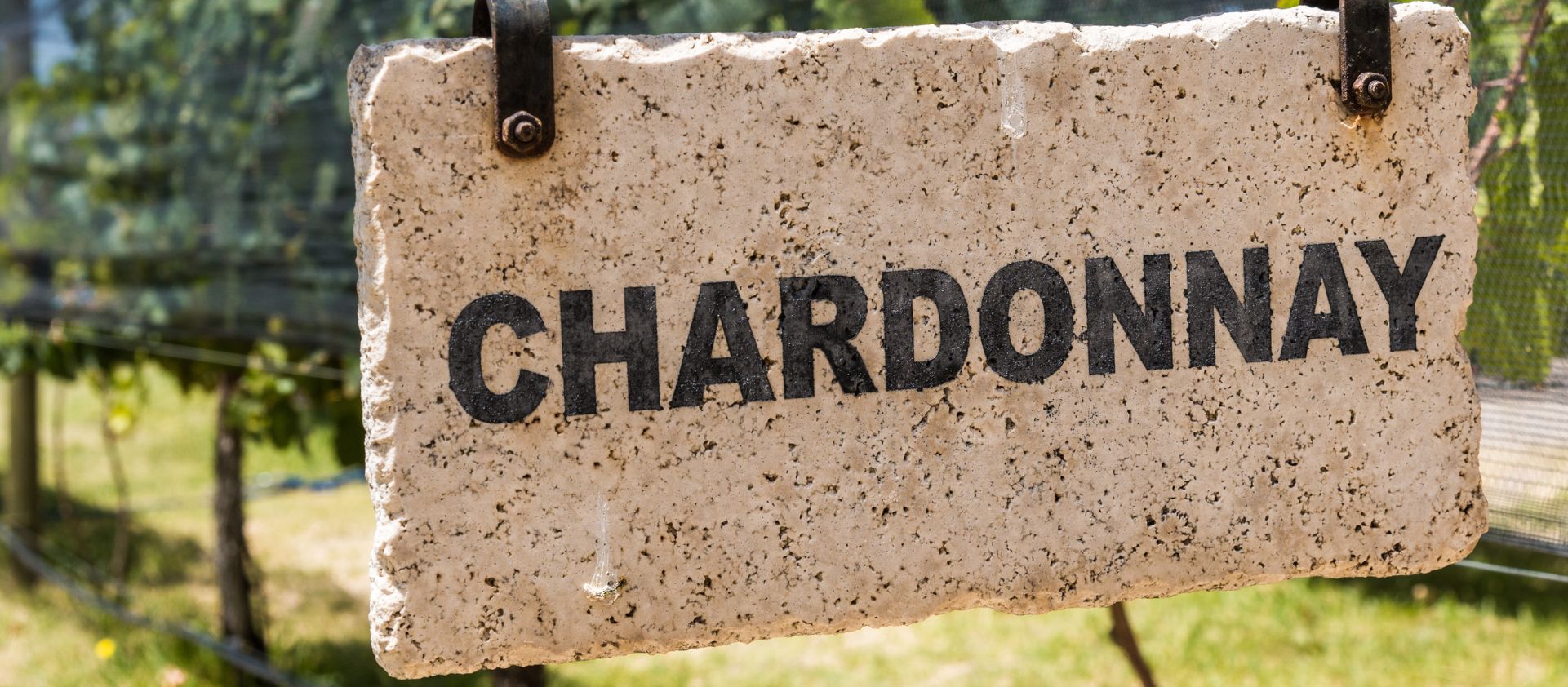 Els 10 vins de Chardonnay més ben valorats