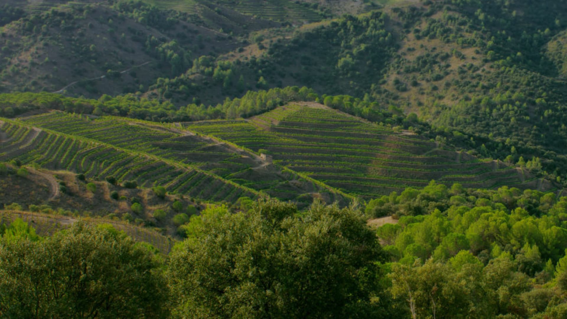DO Priorat