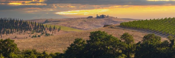 La revolución Toscana, los vinos de mesa más caros del mundo