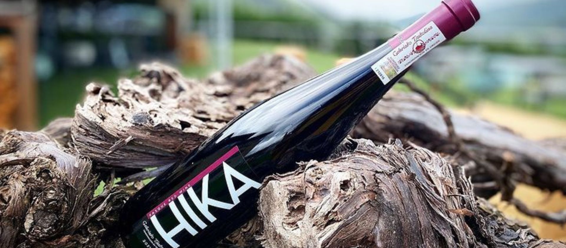 Descobrint HIKA Txakolina: Innovació i tradició als vinyers de Guipúscoa