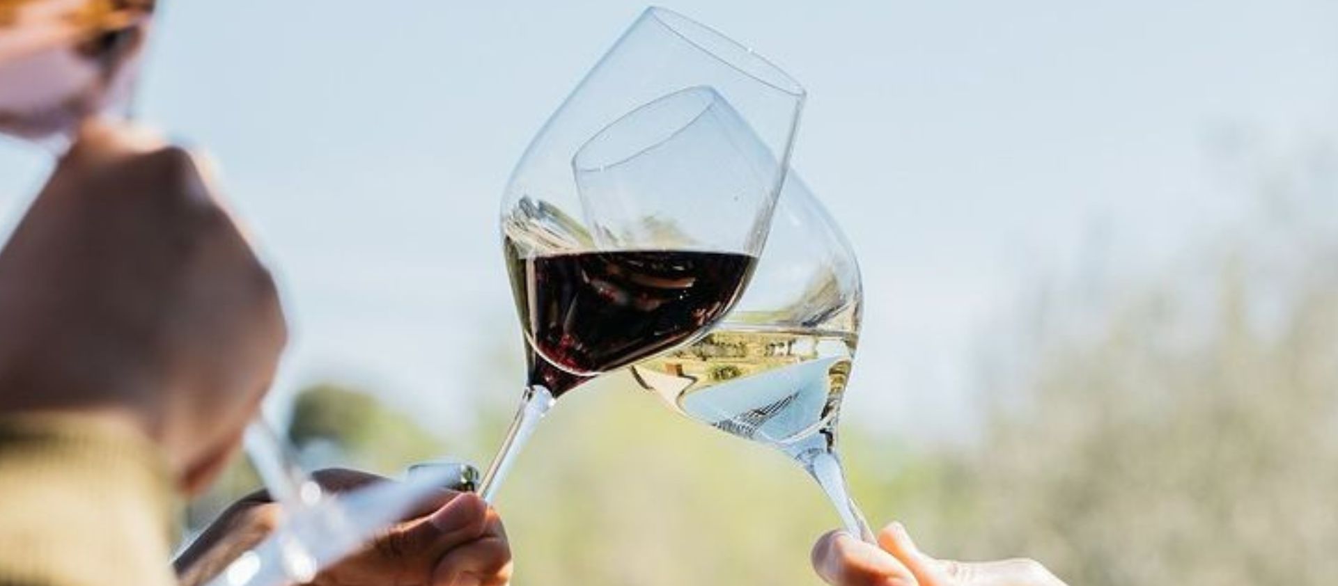 Los mejores vinos para cenas de empresa