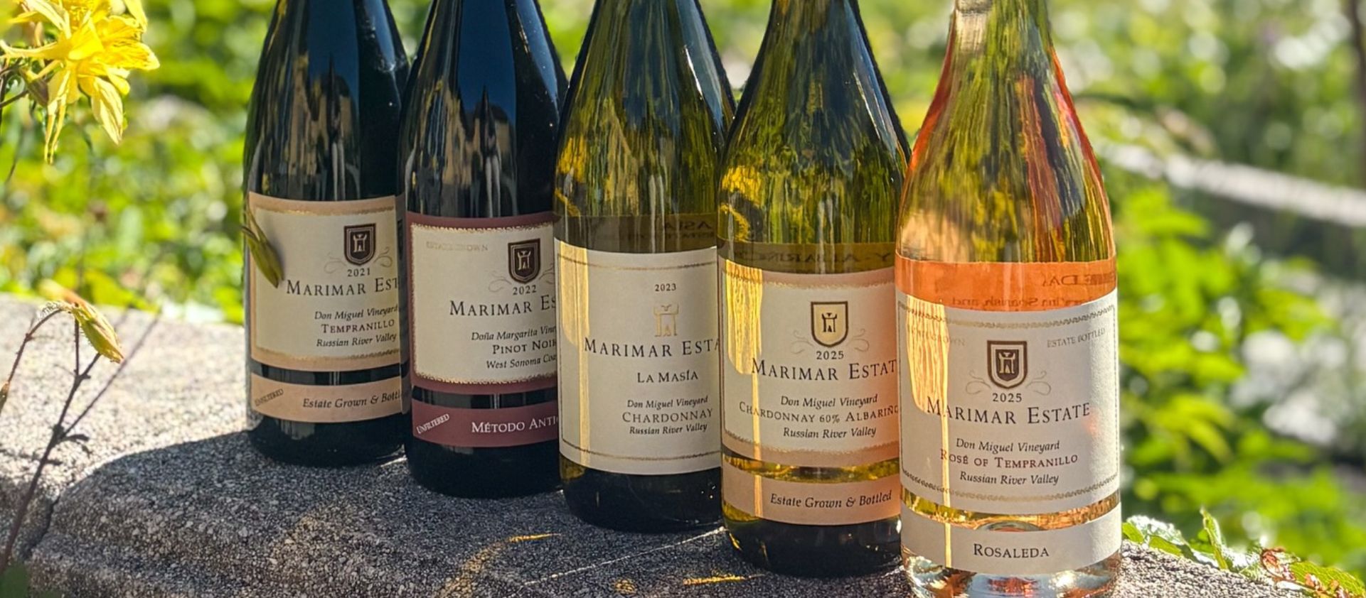 Russian River Valley: La elegancia de California bañada por la niebla