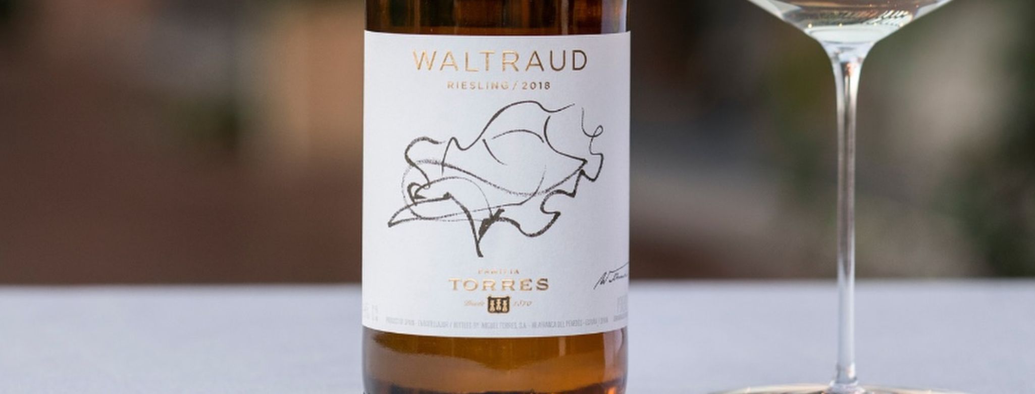 Los vinos blancos, para todo el año