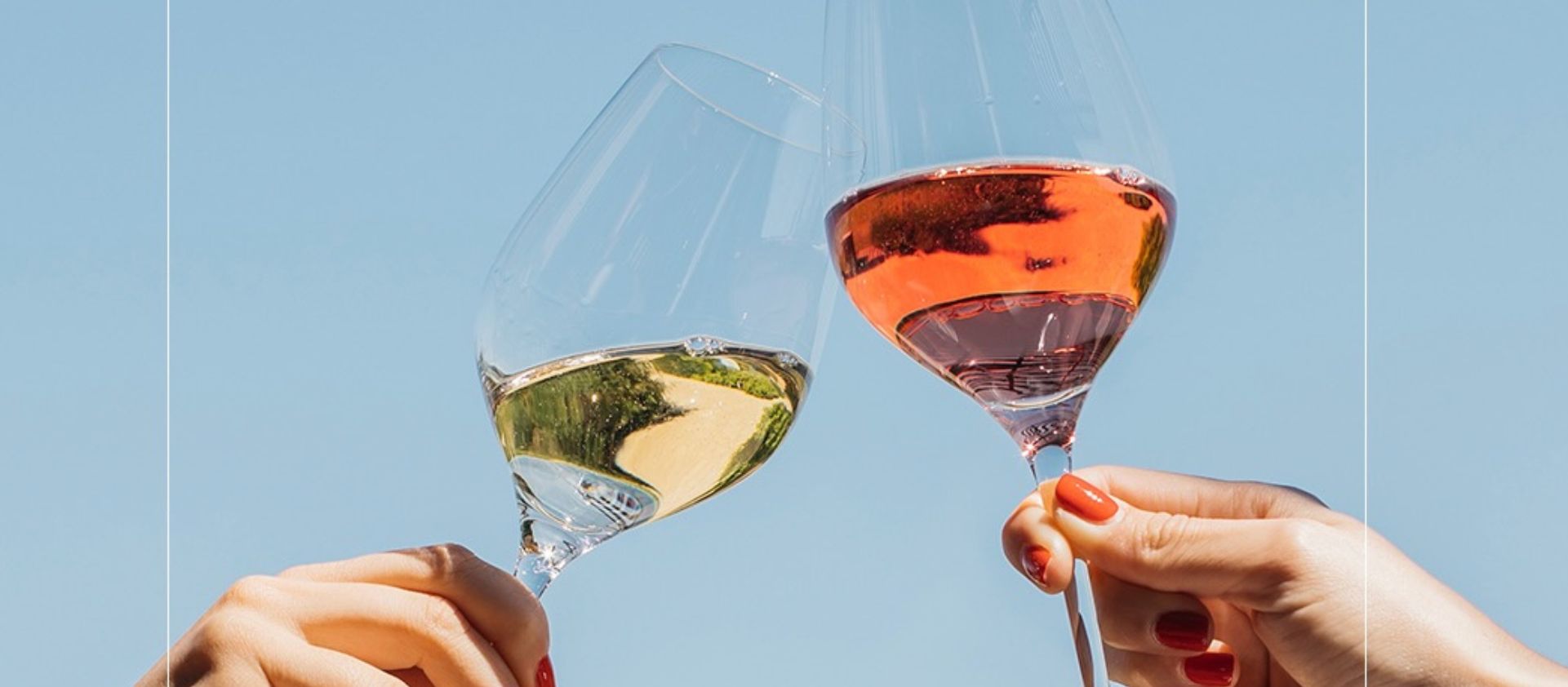 Vins naturals, vegans i sense alcohol: la guia definitiva de tendències del vi 